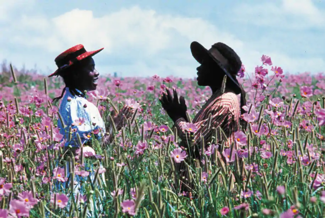 The cultural impact of The Color Purple